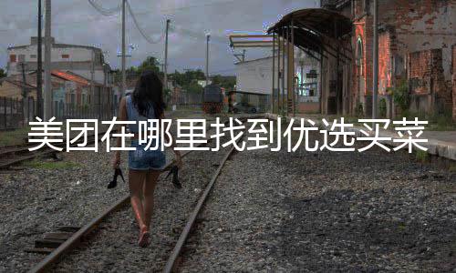 在哪美团到优选买里找菜